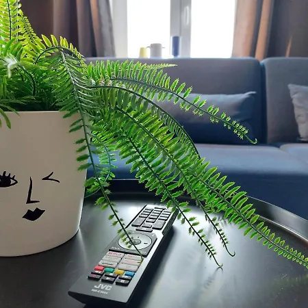 Viel Platz Fuer Gruppen Inkl. Waschmaschine, Hochstuhl Und Playstation Mitten In Der Altstadt Apartment *